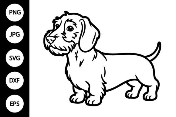 Wirehaired Dachshund Dog Outline SVG Review